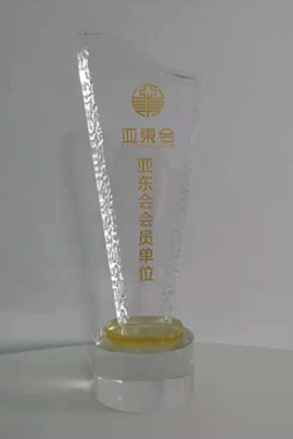 亚东会会员单位